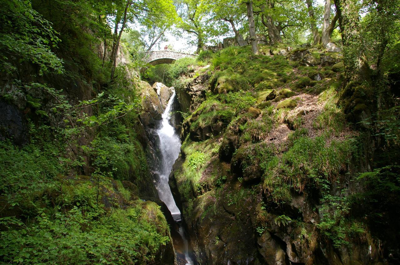 מלון פולי ברידג' Waterfoot Park מראה חיצוני תמונה